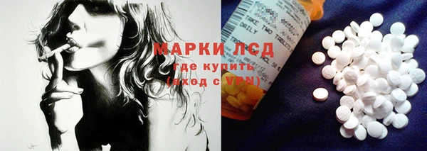 ГАЛЛЮЦИНОГЕННЫЕ ГРИБЫ Бородино