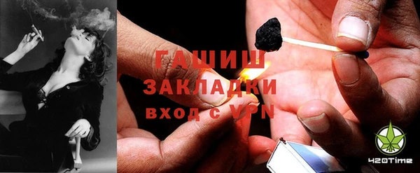 ГАЛЛЮЦИНОГЕННЫЕ ГРИБЫ Бородино