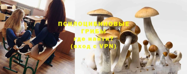 амф Бугульма