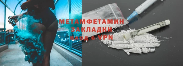 ГАЛЛЮЦИНОГЕННЫЕ ГРИБЫ Бородино