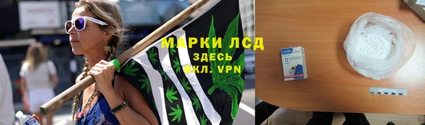 ГАЛЛЮЦИНОГЕННЫЕ ГРИБЫ Бородино