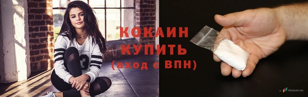 ГАЛЛЮЦИНОГЕННЫЕ ГРИБЫ Бородино