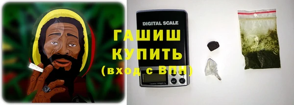 ГАЛЛЮЦИНОГЕННЫЕ ГРИБЫ Бородино