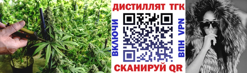 Купить закладки  Невель  Дистиллят ТГК Wax 